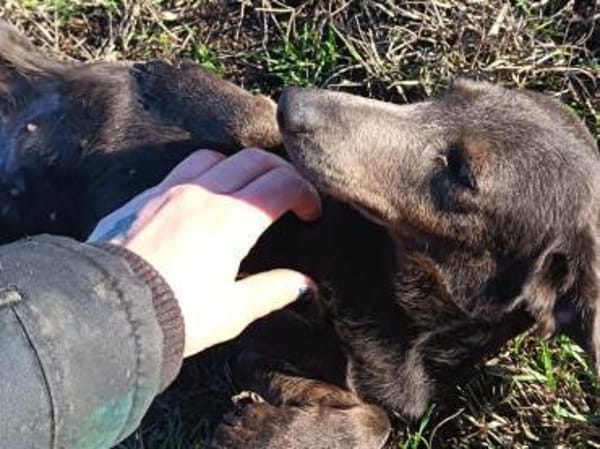 Activia sucht Liebe u.Geborgenheit