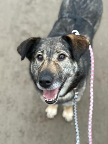 Alva bereit für Liebe, Leben und Lernen