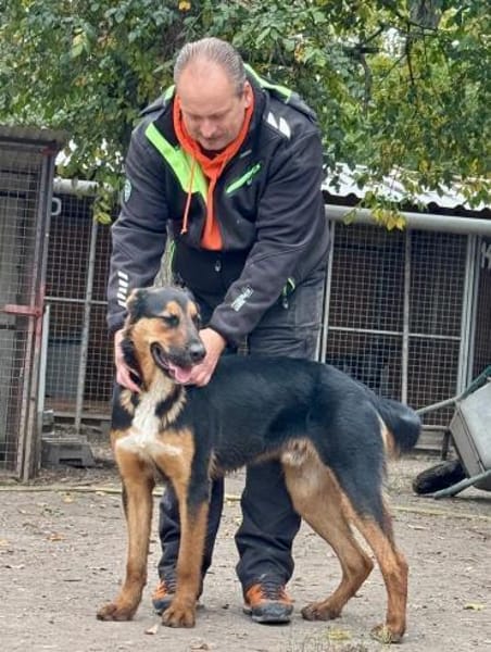 Bonbon will einfach nur gefallen