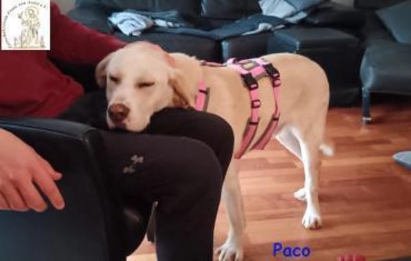 Paco  der hübsche Hauptgewinn