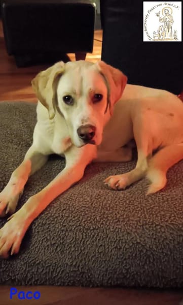 Paco  der hübsche Hauptgewinn