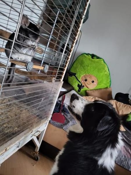 ARKANI - klare Regeln machen erfolgreich