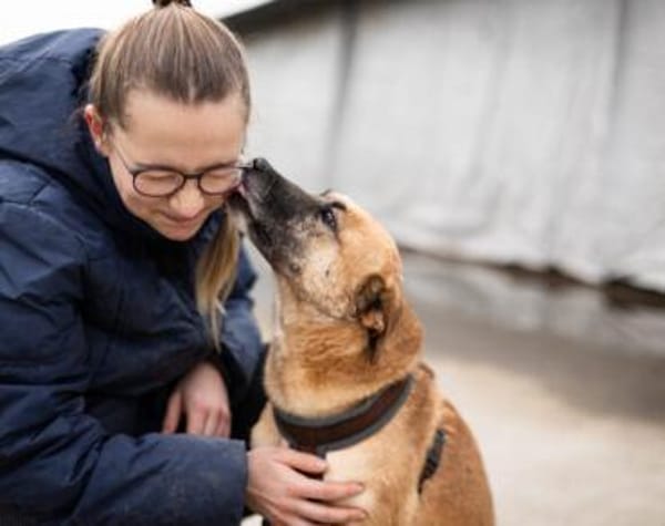 Wer schenkt Kanja ein Zuhause?