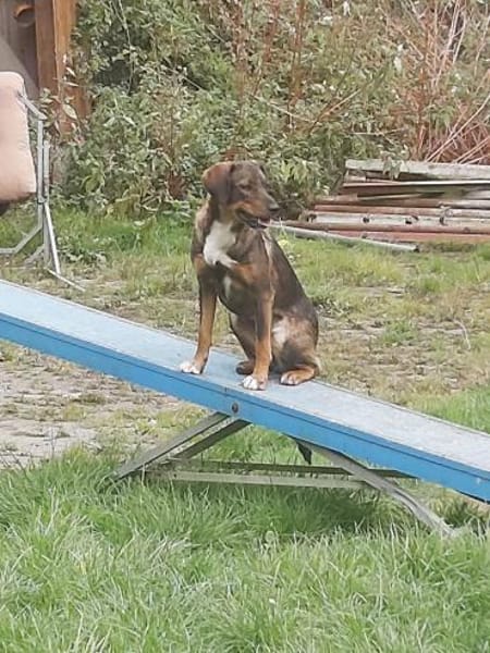 Teamplayerin Ashy sucht tolles Team