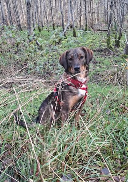 Teamplayerin Ashy sucht tolles Team