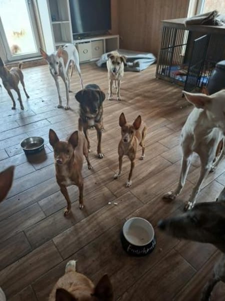 Teamplayerin Ashy sucht tolles Team