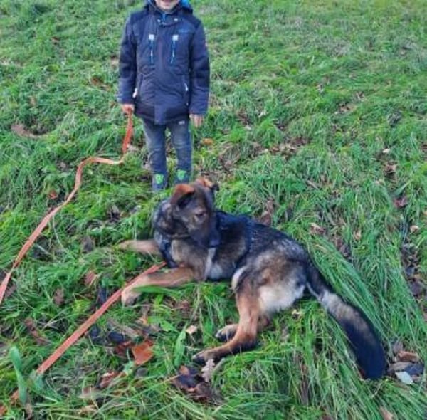 Pia eine tolle bildhübsche Hündin