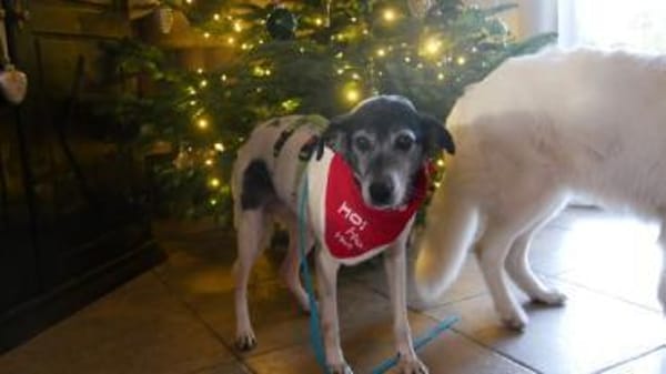 EILA* Dame lieb bescheiden unkompliziert