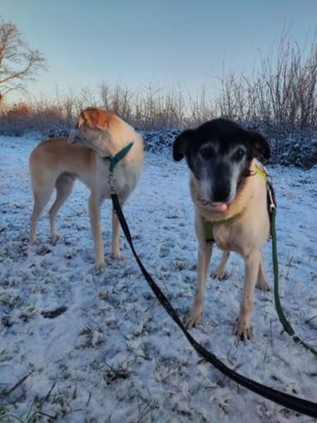 EILA* Dame lieb bescheiden unkompliziert