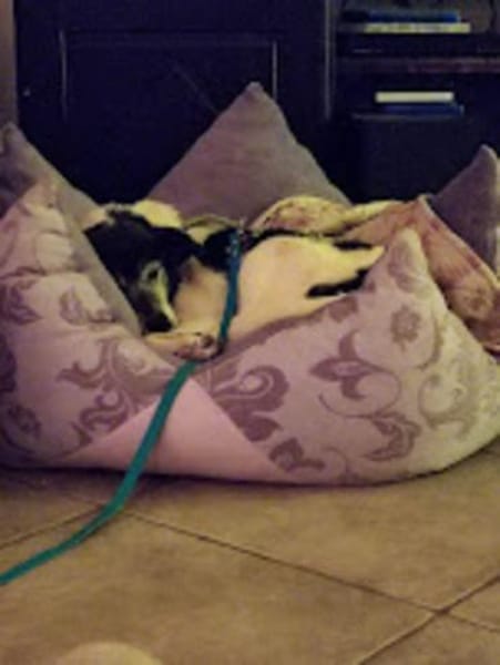 EILA* Dame lieb bescheiden unkompliziert