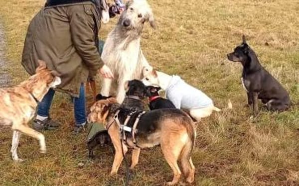 Susa sucht ihre Menschen