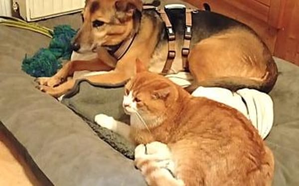 Susa sucht ihre Menschen