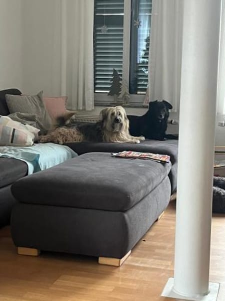 💕Parmida💕 sucht ihre Menschen💕