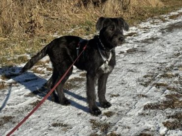 Lara hofft auf ein gutes Leben