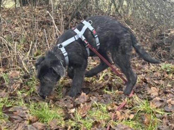 Lara hofft auf ein gutes Leben