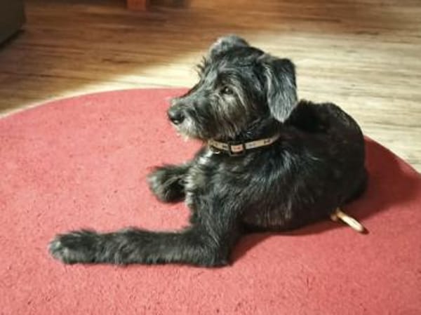 Lara hofft auf ein gutes Leben