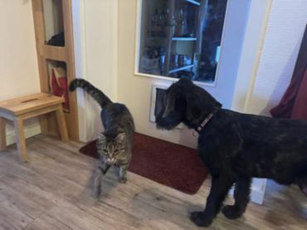 Lara hofft auf ein gutes Leben