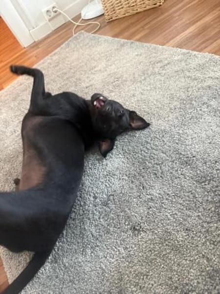 Tommy, Neuanfang gesucht