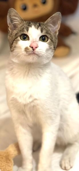 in Baden Würrtemberg wartet Julian