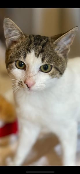 in Baden Würrtemberg wartet Julian