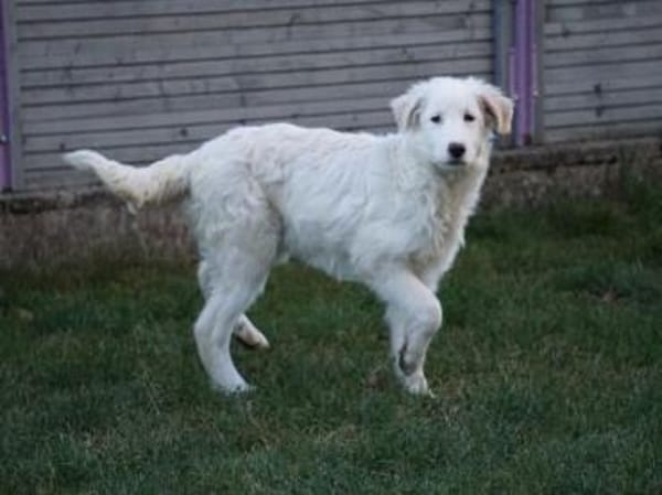 Sullo möchte seine Menschen finden