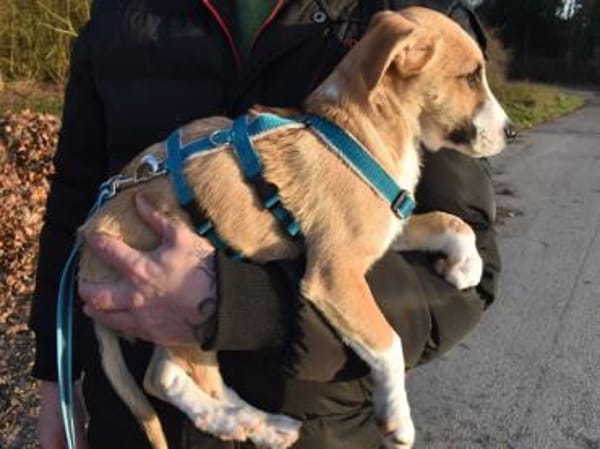 Paolina sucht ihre Familie