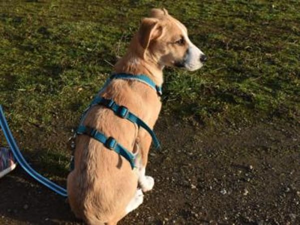 Paolina sucht ihre Familie