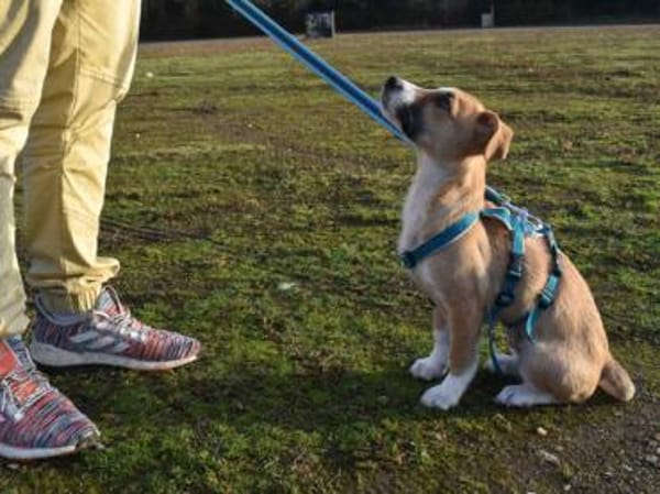 Paolina sucht ihre Familie