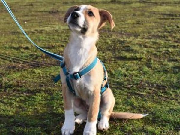 Paolina sucht ihre Familie