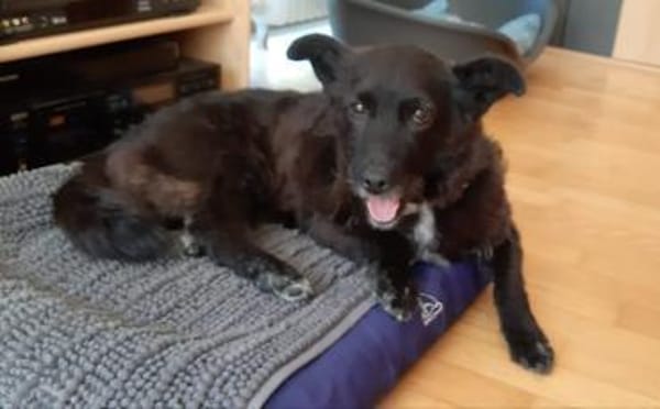 Mit Lady Liberty auf Entdeckungstour