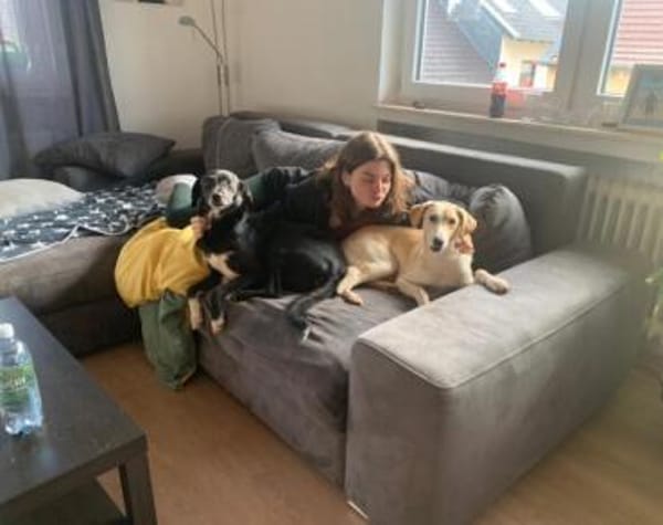 Verliebst du dich in Freddy?