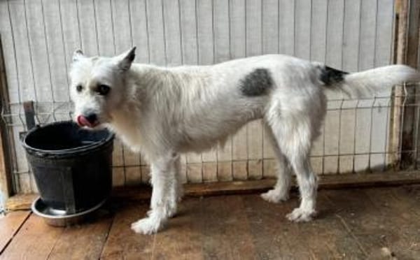 Zarte Pauline sucht Sicherheit und Liebe