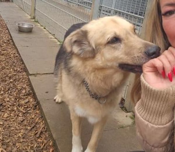 verschmuste, sanfte und liebe Alicia