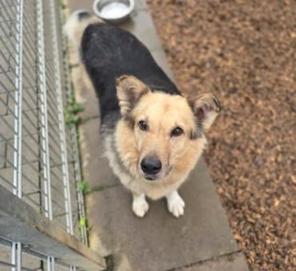 verschmuste, sanfte und liebe Alicia