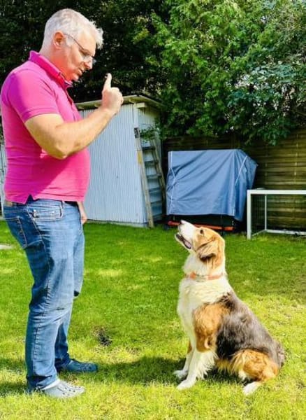 Iris, verschmuste Hündin, 8J in 85591