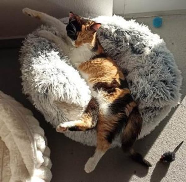 Marie und Zella verlieren ihr Zuhause