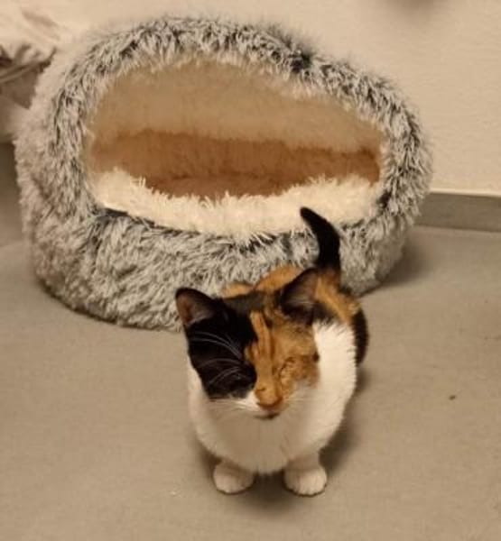 Marie und Zella verlieren ihr Zuhause