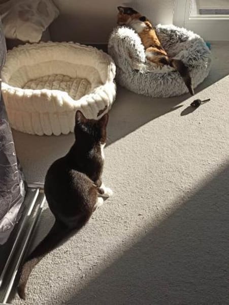 Marie und Zella verlieren ihr Zuhause