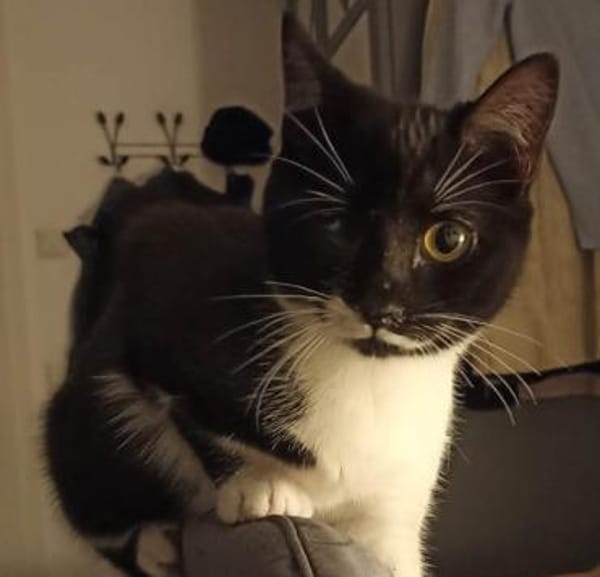 Marie und Zella verlieren ihr Zuhause