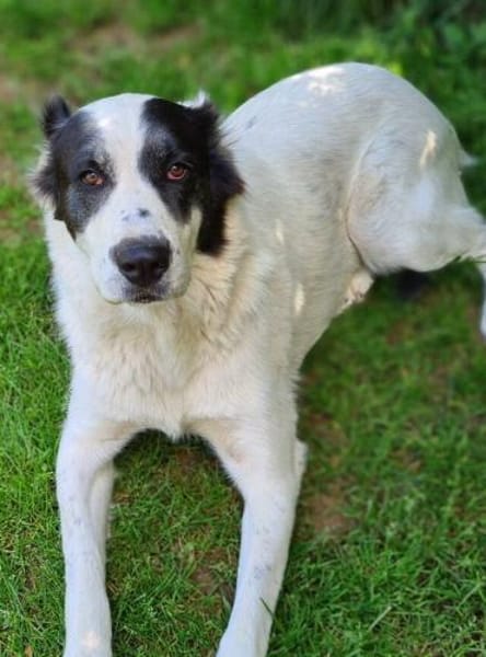 CASSANDRA wartet schon lange