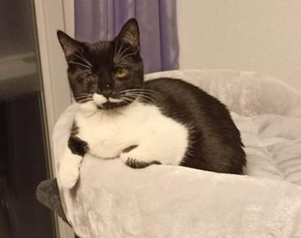 Zella und Marie verlieren ihr Zuhause