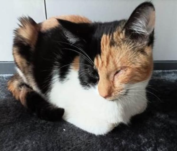 Zella und Marie verlieren ihr Zuhause