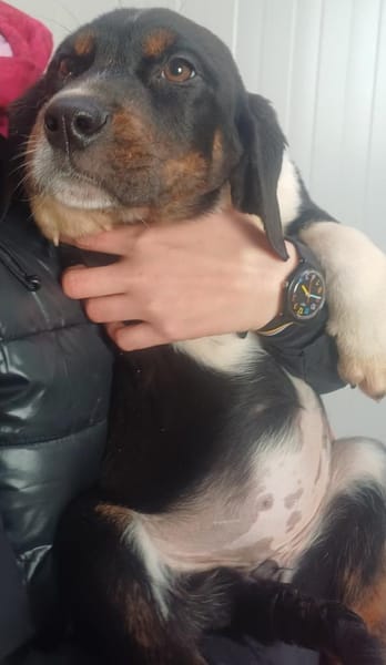 ❤Antonia - Hoffnung für 5 Geschwister