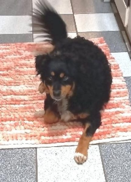 Sportskanone Uli, fröhlich + verträglich