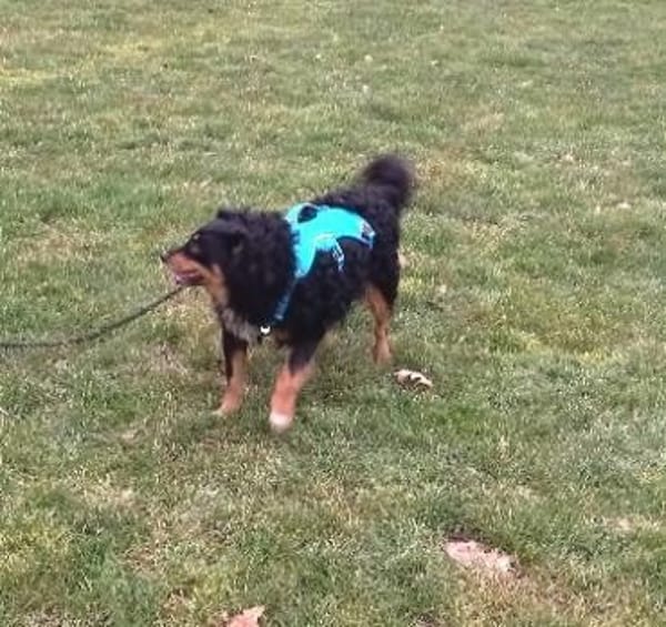 Sportskanone Uli, fröhlich + verträglich