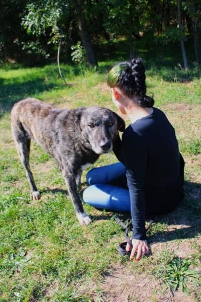 sanfte Seele sucht liebevolles Zuhause