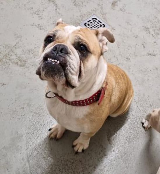 Heaven sucht ihr Für immer Zuhause