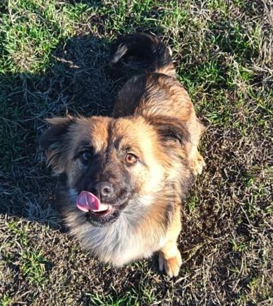 Actimel ist eine sehr liebe Maus