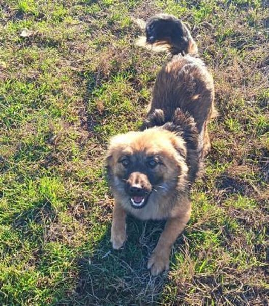 Actimel ist eine sehr liebe Maus