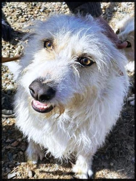 Wartend auf ein Wunder!